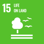 How Seed Valley contributes to the SDG’s