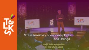Video poster: Stress sensitivity of our crop plants